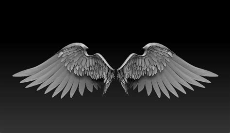 angel wings 3D Models in Anatomy 3DExport