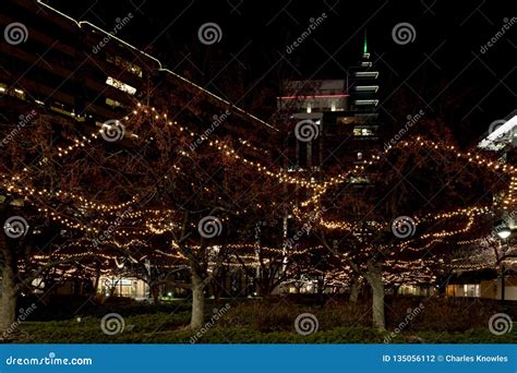 Boise Grove Square with Tall Buildings and Christmas Light on the Trees Stock Photo - Image of ...