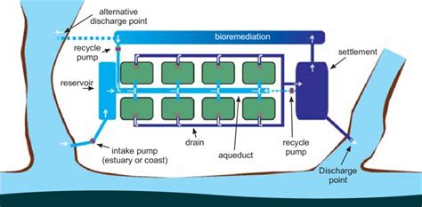 1 A typical prawn farm layout | Download Scientific Diagram