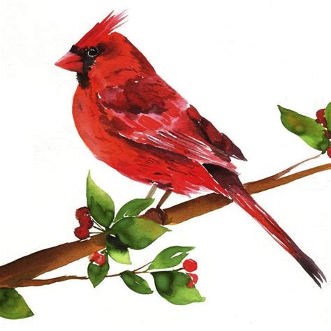 Cardinal Watercolor Kit | Cardinal watercolor, Bird watercolor art ...