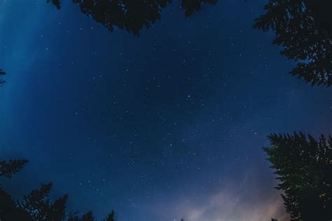 Wallpaper ID: 239501 / looking up at the starry night sky over the pine trees in banff, stars ...