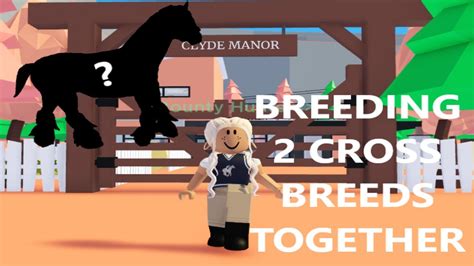 BREEDING 2 CROSSES TOGETHER ON HORSE VALLEY! 🏇 WAS IT WORTH IT?? 🐴 - YouTube