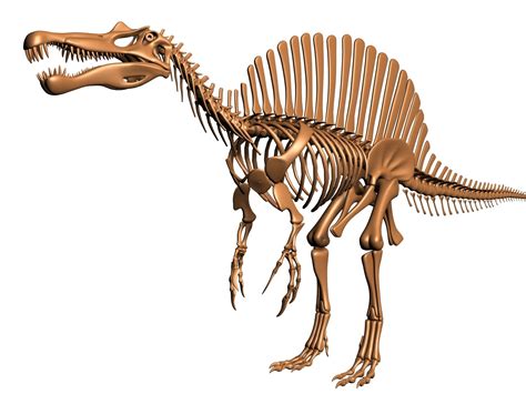 Esqueleto de Spinosaurus Modelo 3D $99 - .obj .max - Free3D