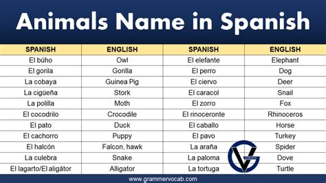 Names of Animals in Spanish - GrammarVocab