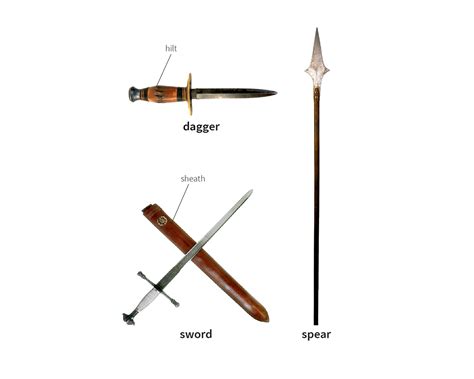 spear noun - Definition, pictures, pronunciation and usage notes ...