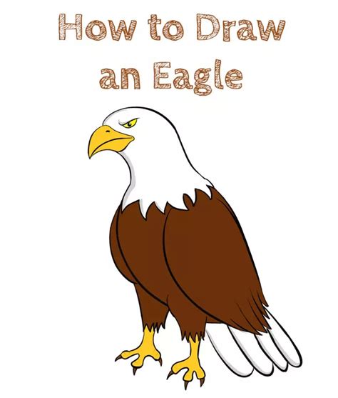 How to Draw an Eagle Easy - How to Draw Easy | Eagle drawing, Eagle drawing easy, Easy drawings