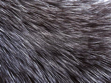 Rabbit fur Texture ID340 - CadNav