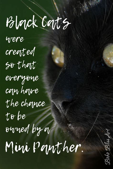 Cats: A Collection of Quotes ~ Boom2Bloom.com | Black cat quotes, Cat ...