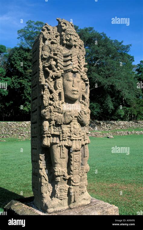 Honduras Copan Ruinas Maya ruins Mayan art sculpture vertical Stela A replica outdoor museum ...