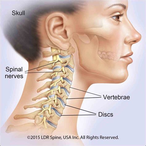 C Spine | MedicineBTG.com