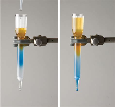 Principles of Gel Filtration Chromatography | Stem experiments, Gel ...