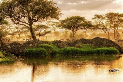 Sunset over the river in Serengeti, Tanzania. Photograph by Marek ...