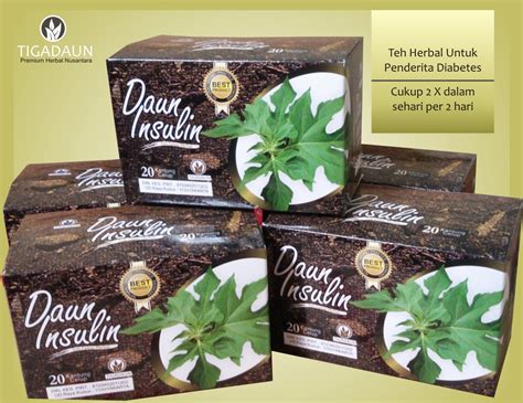 DAUN INSULIN, Obat untuk mengontrol Penyakit Diabetes Melitus - Saka Herbal