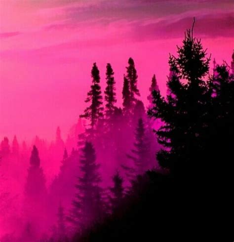 #darkpink#aesthetic | Pink sky, Pink aesthetic, Pink photo