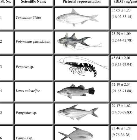 List of fish species with respective tDDT levels (ng/gm) in their ...