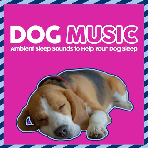 ‎Dog Music - Ambient Sleep Sounds to Help Your Dog Sleep by Music For Pets, Relaxmydog & Dog ...