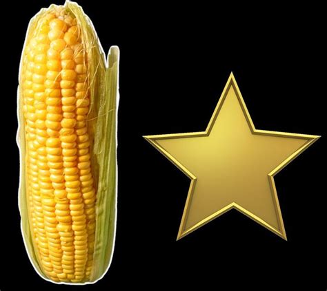 Corn Star