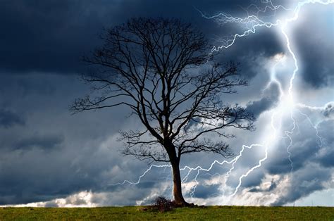 trees, Storm, Sky, Lightning, Rain, Nature, Dangerous, Wind, Wet, Elements, Landscape Wallpapers ...