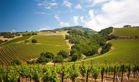 Best Hiking in Sonoma County | Vineyard Hikes with Views