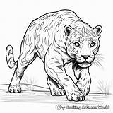 Panther Coloring Pages  Free & Printable sketch template
