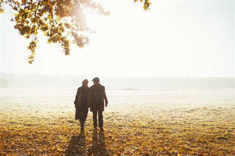 Silhouette senior couple holding hands walking in sunny autumn park ...