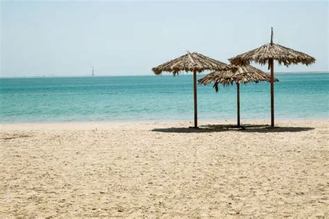 The 10 Best Beaches in Saudi Arabia | Top Beaches in Saudi Arabia