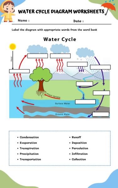 Water Cycle Diagram Worksheets | WorksheetsGO