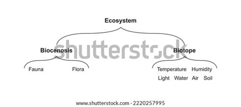 Scientific Designing Ecosystem Components Biocenosis Biotope Stock ...