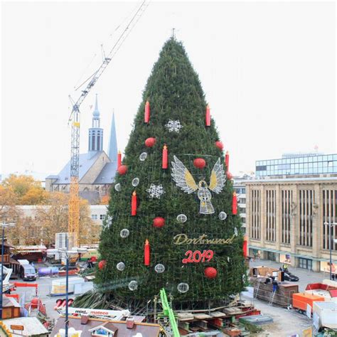 The Tallest Christmas Tree In The World