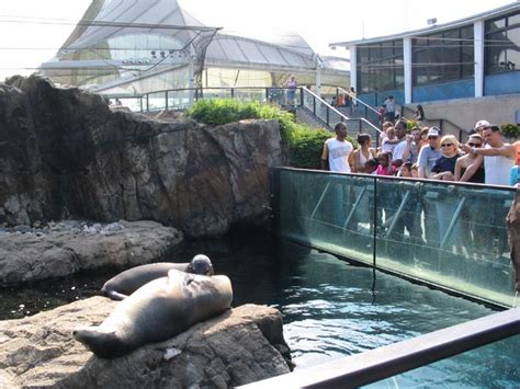 New York Aquarium, Coney Island, Brooklyn