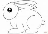 Small Rabbit coloring Page  Free Printable Coloring Pages sketch template