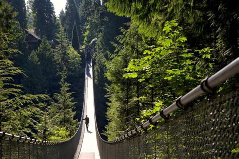 Vancouver: Capilano Suspension Bridge Park Entry Ticket | GetYourGuide