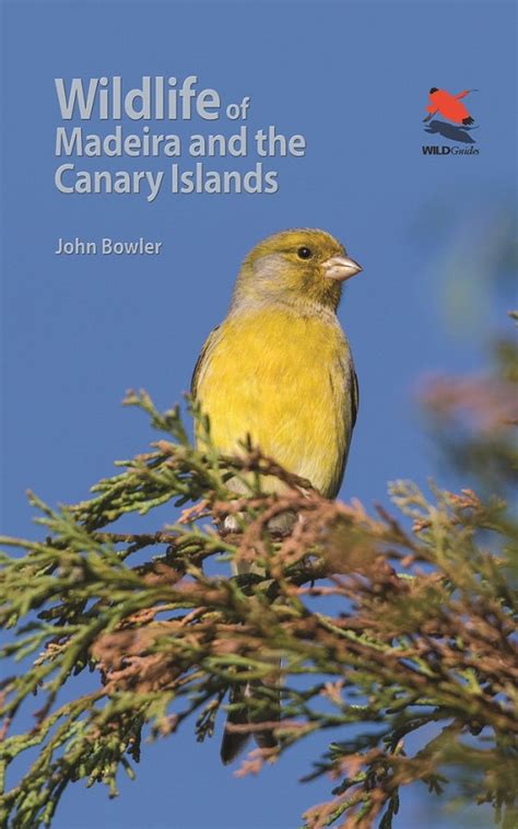 Wildlife of Madeira and the Canary Islands: A Photographic Field Guide to Birds, Mammals ...