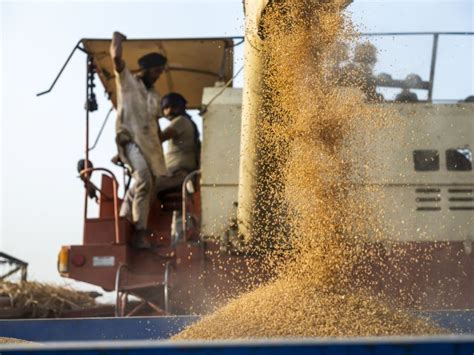 Reliance emerges as a winner after India’s wheat ban | Business and Economy News | Al Jazeera