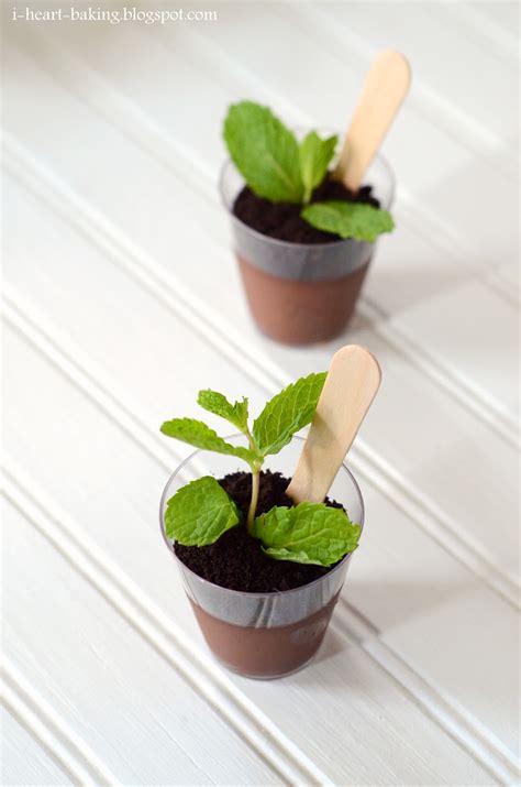 i heart baking!: potted plant chocolate puddings