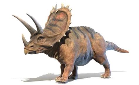 10 Horned Dinosaurs That You Should Know | My Dinosaurs