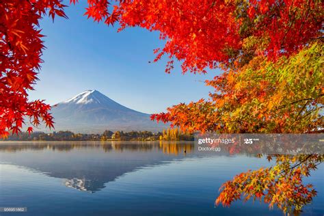 Fuji Mountain Reflection with Red Maple Trees in Autumn Blue Sky ...