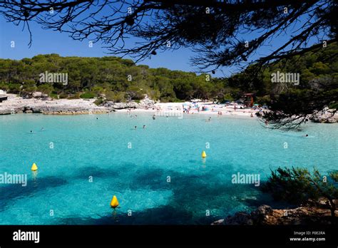 Menorca pine trees hi-res stock photography and images - Alamy