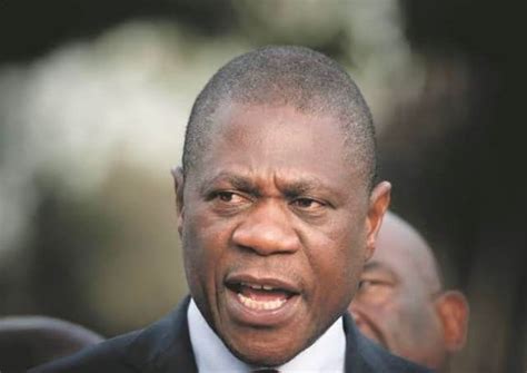 Paul Mashatile Wiki, Biography, Spouse, Age, Height, Net Worth, Instagram