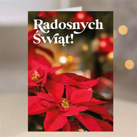 Merry Christmas & Happy New Year Wishes In Polish ( list with translations)