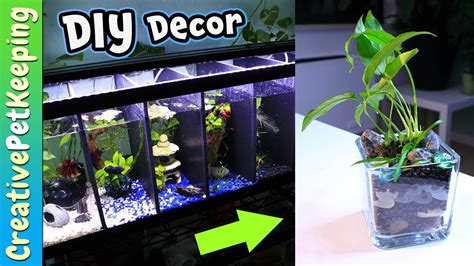 Homemade Betta Fish Tank Decorations | Shelly Lighting