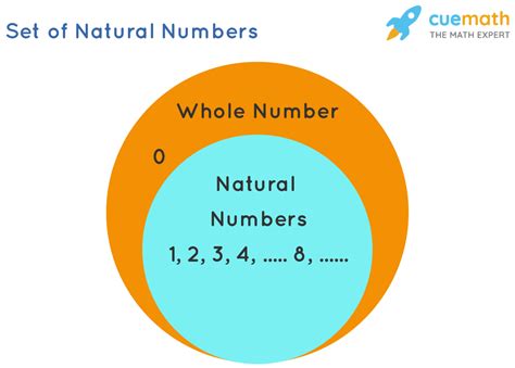 What are Natural Numbers? Definition, Examples, and Facts