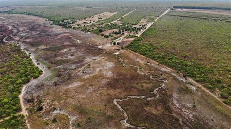 Brésil : Déforestation dans le Cerrado - Autres Brésils