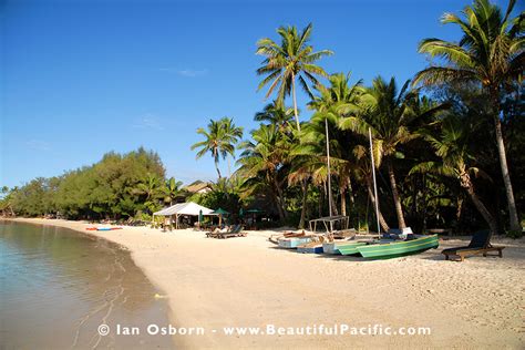 Information Muri Beach Rarotonga - Activities, Shops & Restaurants