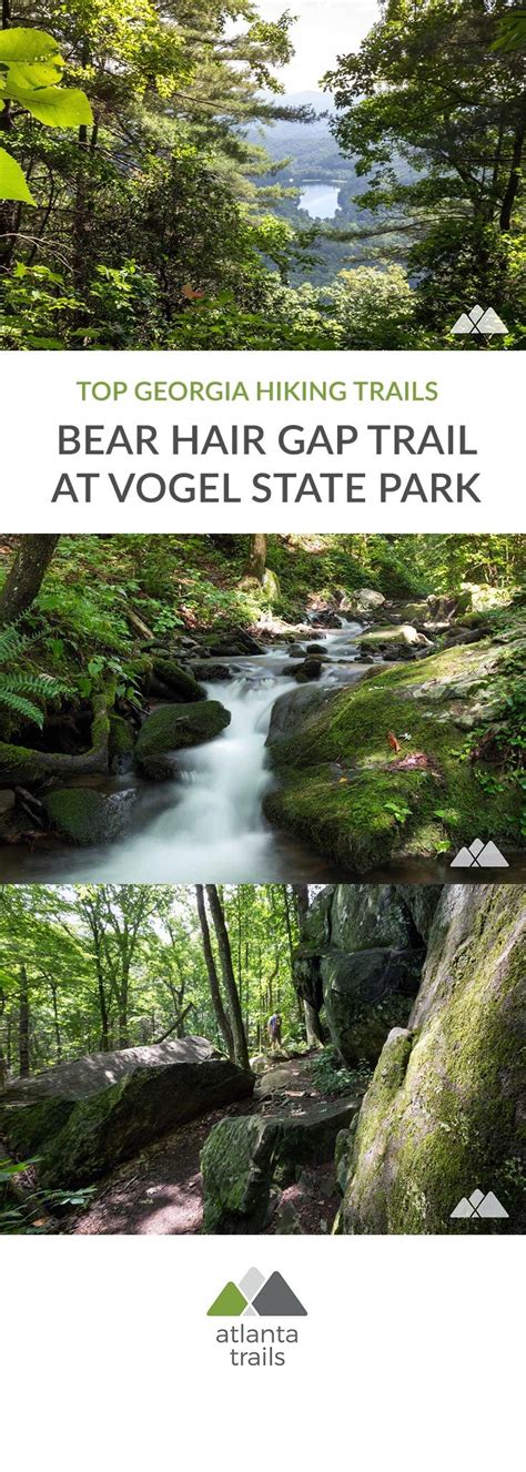 Bear Hair Gap Trail at Vogel State Park - Atlanta Trails | State parks ...