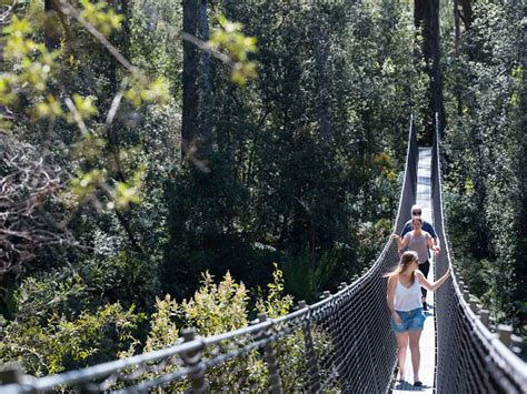 Tahune Adventures Tasmania - Tahune Airwalk - Discover Tasmania