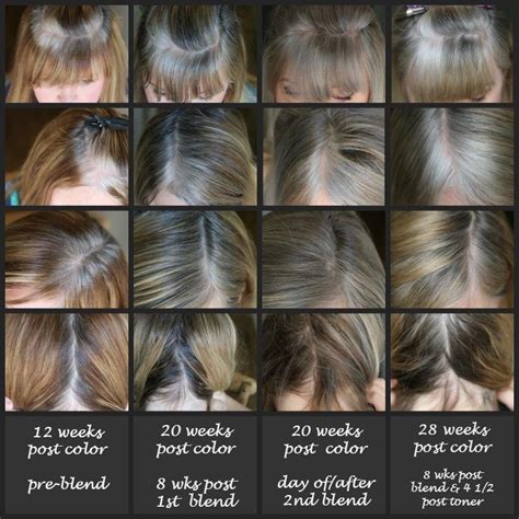 transition to grey hair with highlights - Google Search | Transition to ...