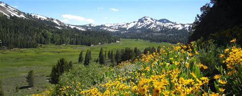 Alpine County, CA - Official Website | Official Website