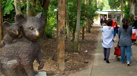 Lone Pine Koala Sanctuary in Brisbane | Expedia