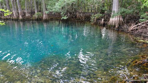 Map of Florida Springs – Florida Hikes